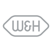 Preview: W&H EM-19