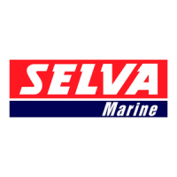 Preview: SELVA MARINE ANTIBES 25 - S495