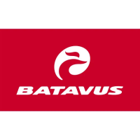 Preview: Batavus ION