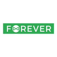 Preview: FOREVER Fly