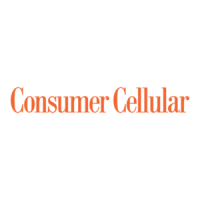 Preview: Consumer Cellular Iris Flip
