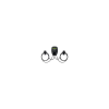 PRACHT Logo
