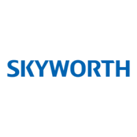 Preview: Skyworth HS-8902