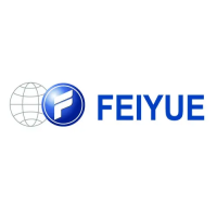 Preview: Feiyue FY811