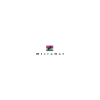 MicroNet Logo