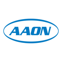 Preview: AAON ASM01891