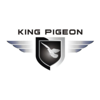 Preview: King Pigeon S150