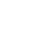 VDigi Logo