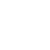 Naish Logo