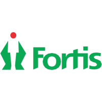 Preview: Fortis T3