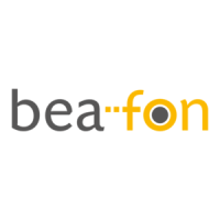 Preview: Beafon SL320