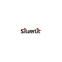 Preview: Silverlit PicooZ
