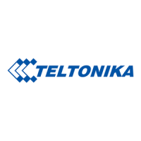 Preview: Teltonika RUTX09