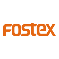 Preview: Fostex 3030