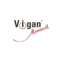 Preview: Vigan Mammoth WK17B