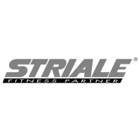 Preview: Striale SV-379