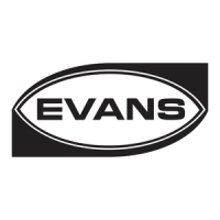 Preview: Evans Evaglide ROMAN