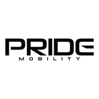 Preview: Pride Victory 9