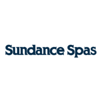 Preview: Sundance Spas 780