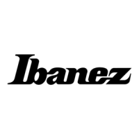 Preview: Ibanez troubadour T150S