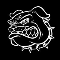 Preview: MAD DOG GM315