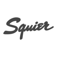 Preview: Squier SQ12M