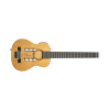 Traveler Guitar Logo