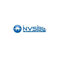 Preview: NVSBL P4D v2