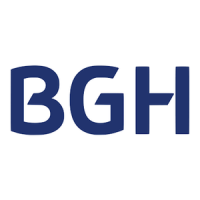 Preview: BGH GMV6