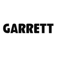 Preview: Garrett ACE 250