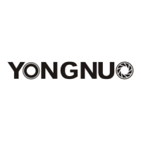 Preview: Yongnuo YN320EX