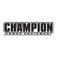 Preview: Champion Power Equipment 60701
