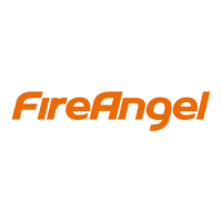 Preview: FireAngel CO-808