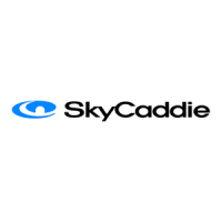 Preview: SkyCaddie Linx