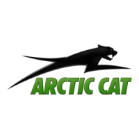 Preview: Arctic Cat 450 2010