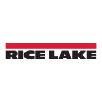 Preview: Rice Lake Legend 480-2A