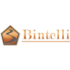 Bintelli Logo