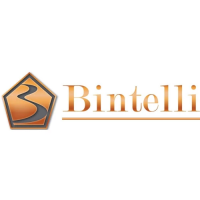 Preview: Bintelli Scorch