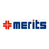 Preview: Merits Pioneer 2