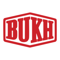 Preview: Bukh DV20