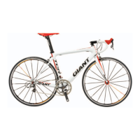 Preview: Giant TCR ADVANCED 1
