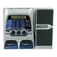 Preview: DigiTech RP200