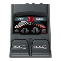 Preview: DigiTech RP55