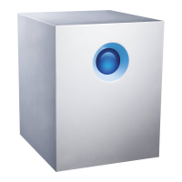 Preview: LaCie d2 Network 2
