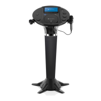 Preview: The Singing Machine iSM1020BT