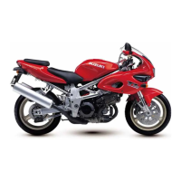 Preview: Suzuki TL1000S