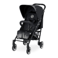 Preview: CYBEX CALLISTO