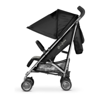Preview: CYBEX ONYX