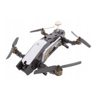 Preview: Walkera furious 320