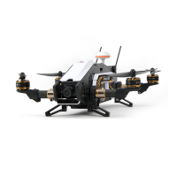 Preview: Walkera furious 320
